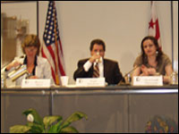 Panel 2 - Second Session
